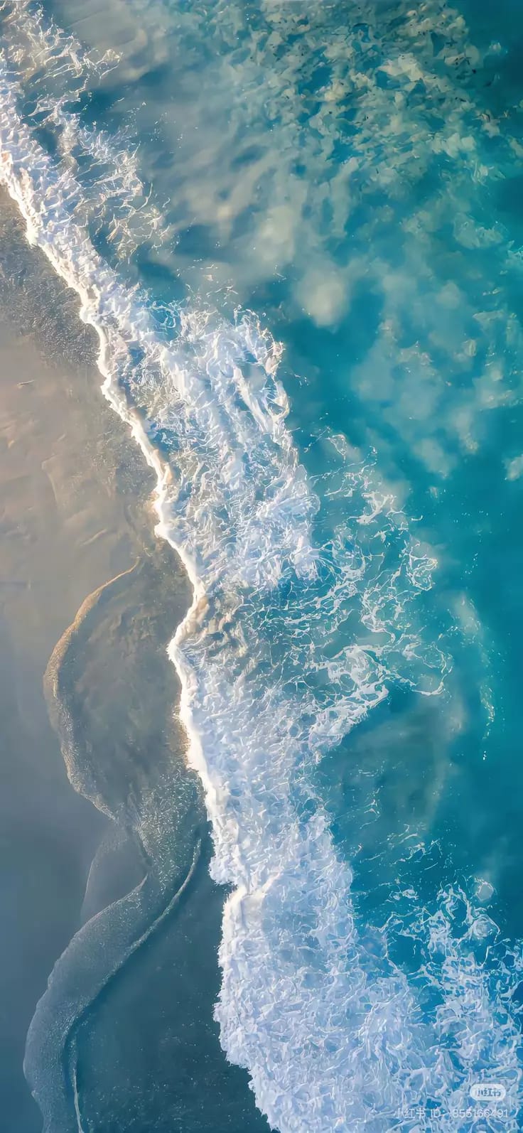 Nature 11