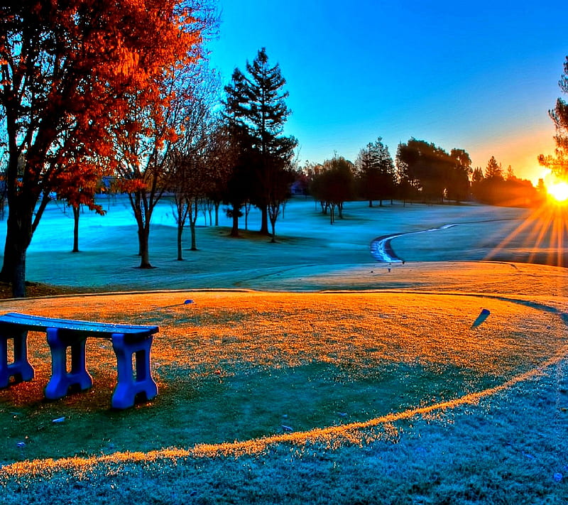 Nature 2