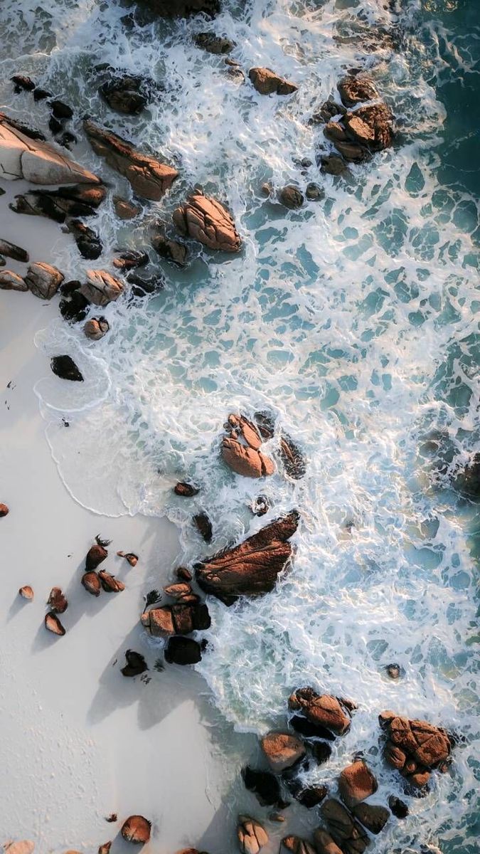 Nature 4