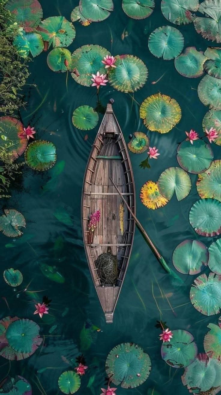 Nature 5