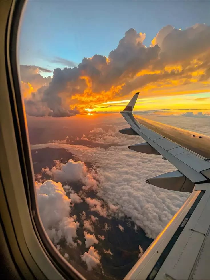 travel 11