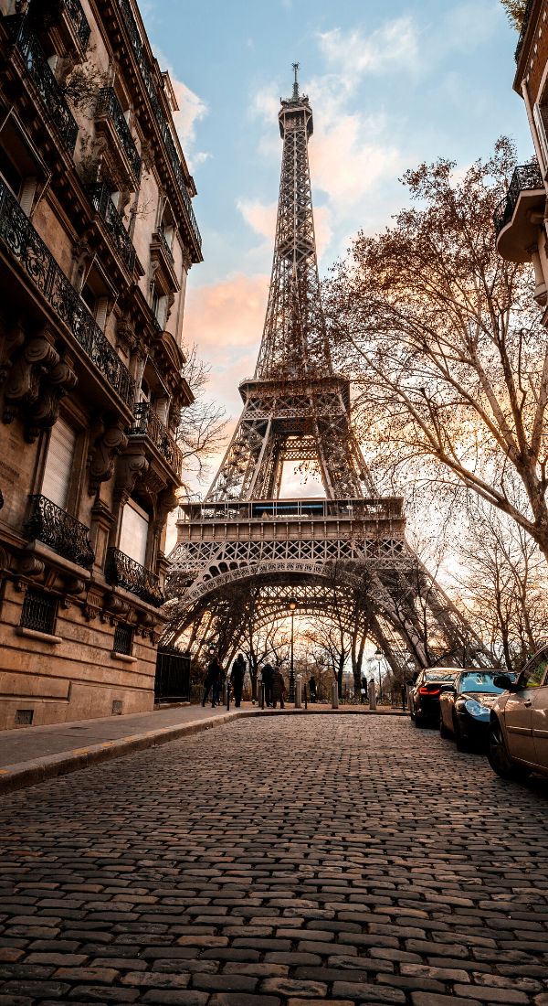 travel 7